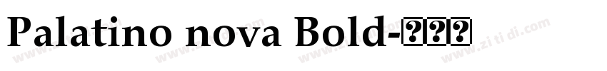 Palatino nova Bold字体转换 Palatino nova Bold字体转换